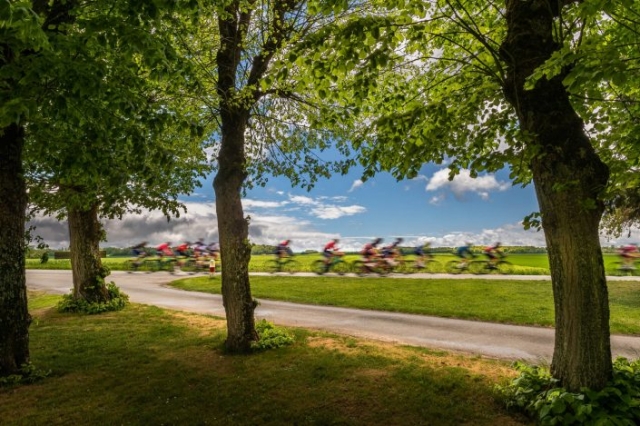 Stéphane de Kermoal photographies