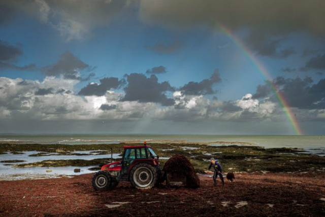 Stéphane de Kermoal photographies