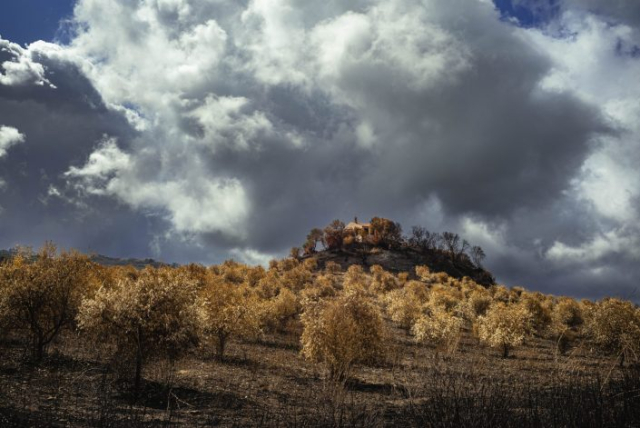 Stéphane de Kermoal Photographies